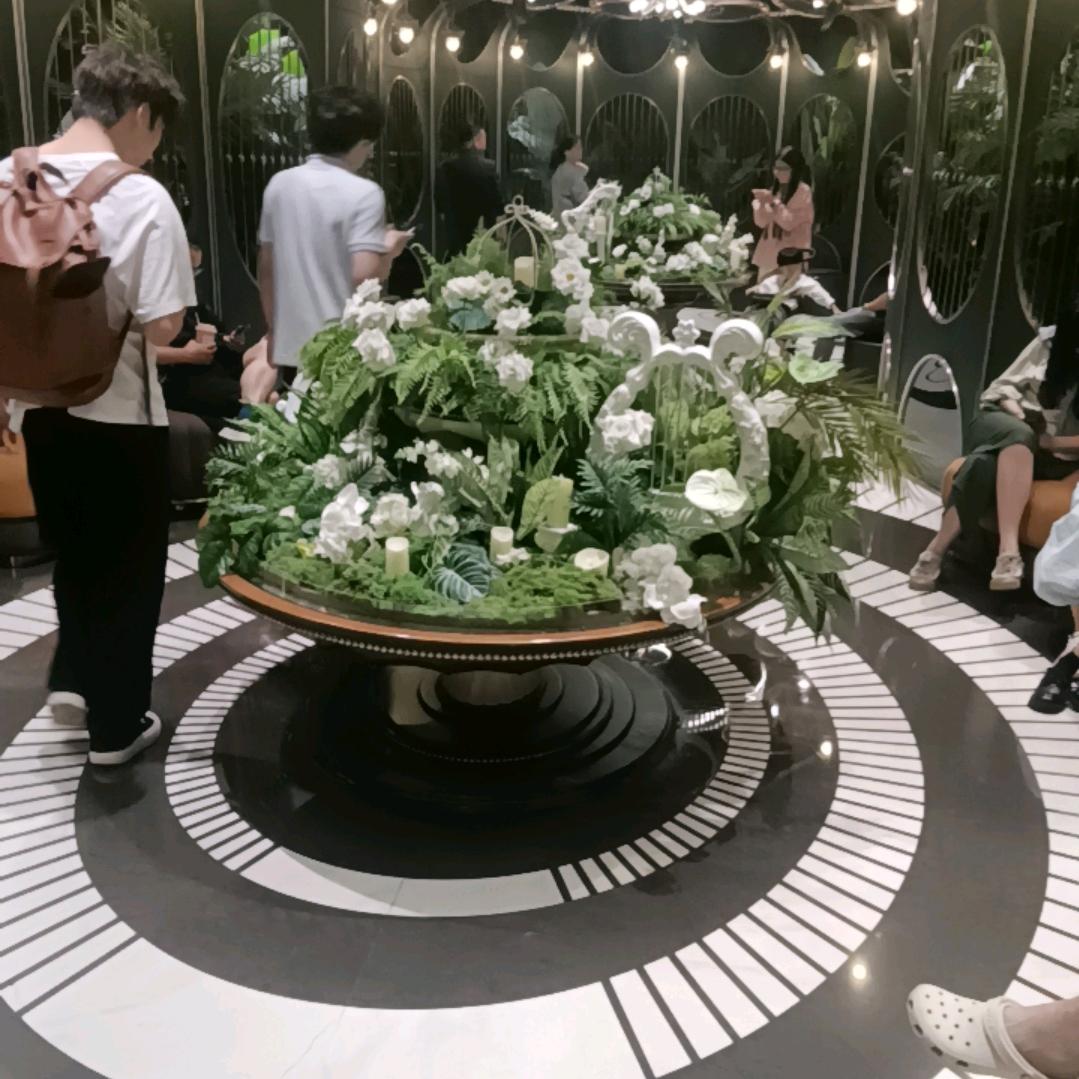 💖所念🌿皆星河💞