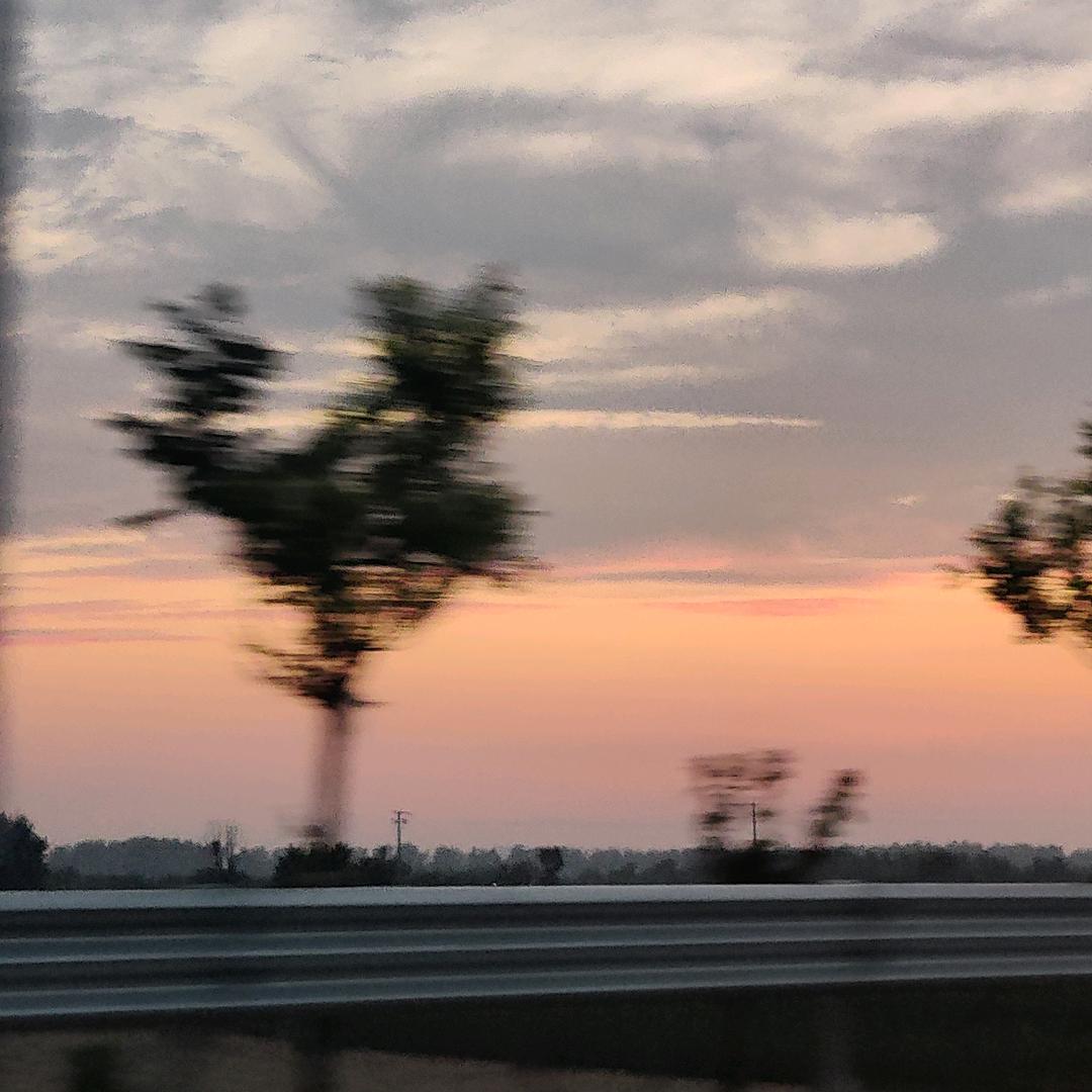 暗里着迷Mrli