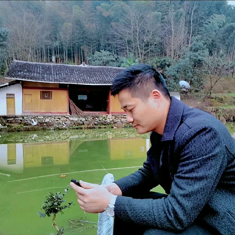 隐隐南山