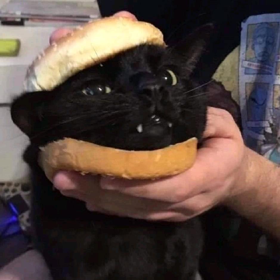 秦观