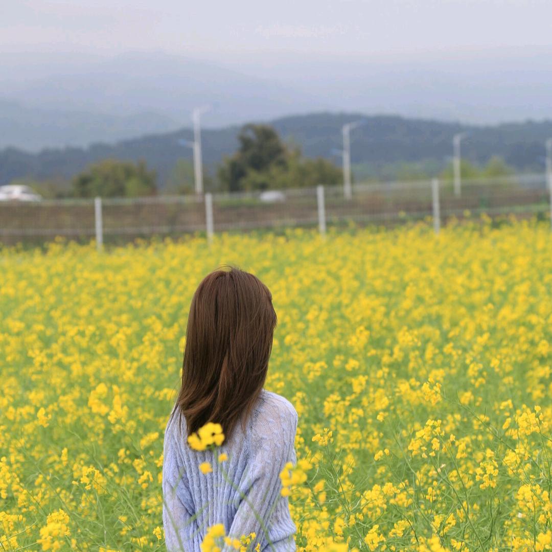 三申园艺