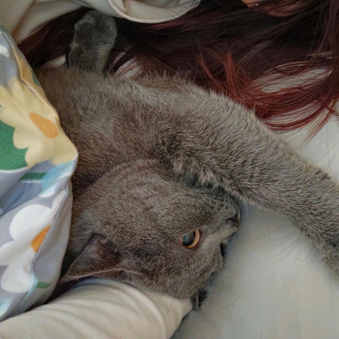 没有