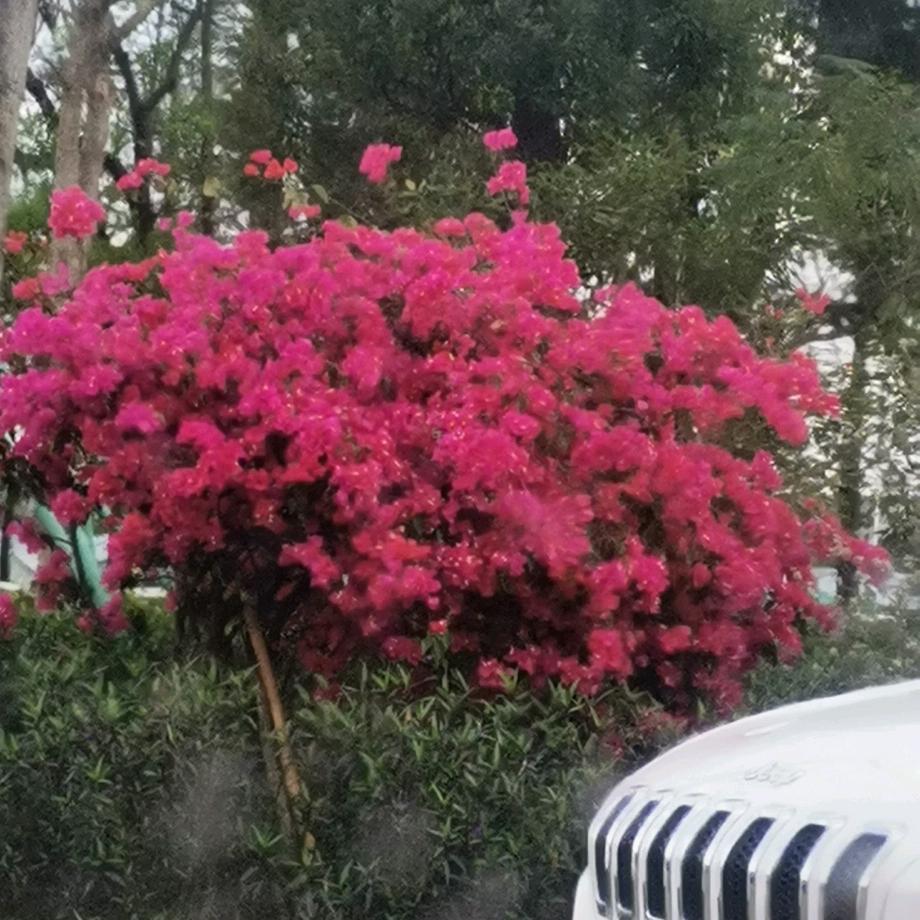 开心过好每一天