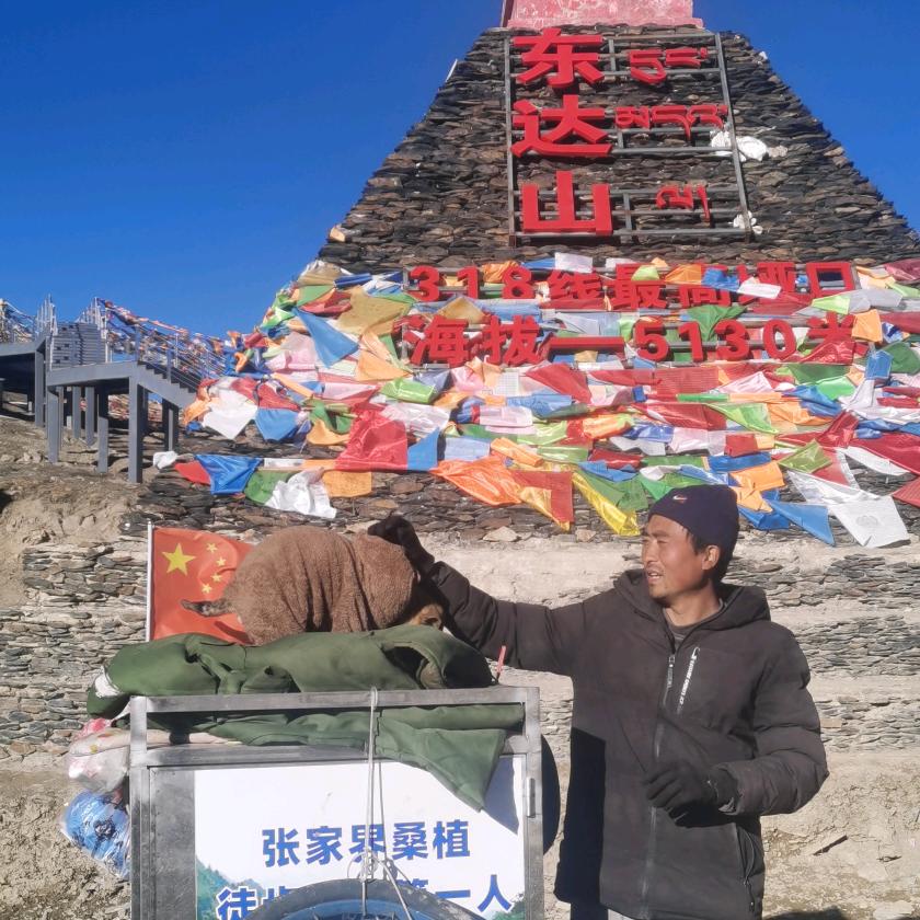 张天天《户外生活记》