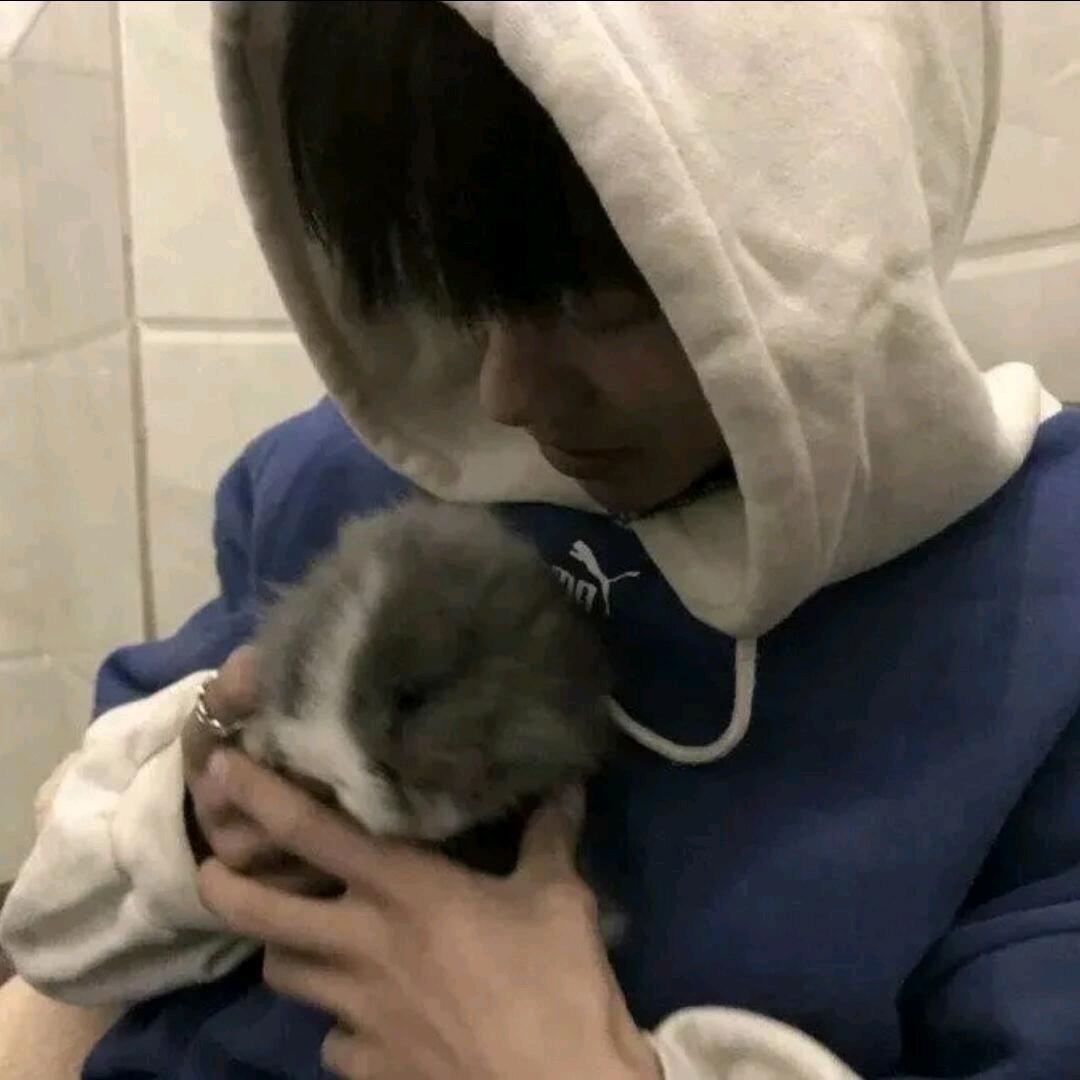 涵.zᙆᥫᩣᵕ̈