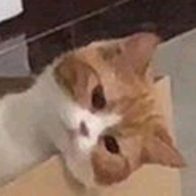 从心