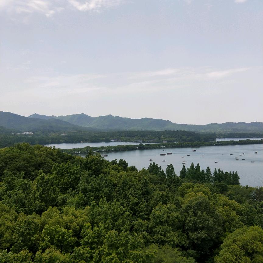 生活来自不易