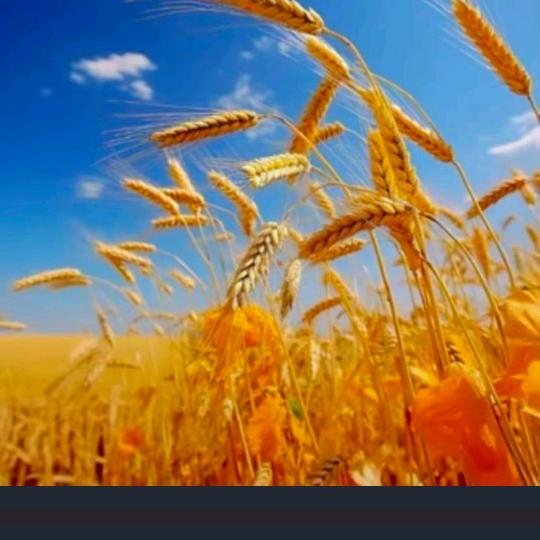 富安王俊家宴超市！