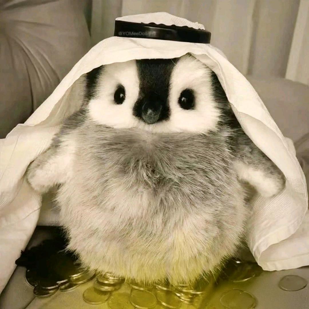 ོ🪽