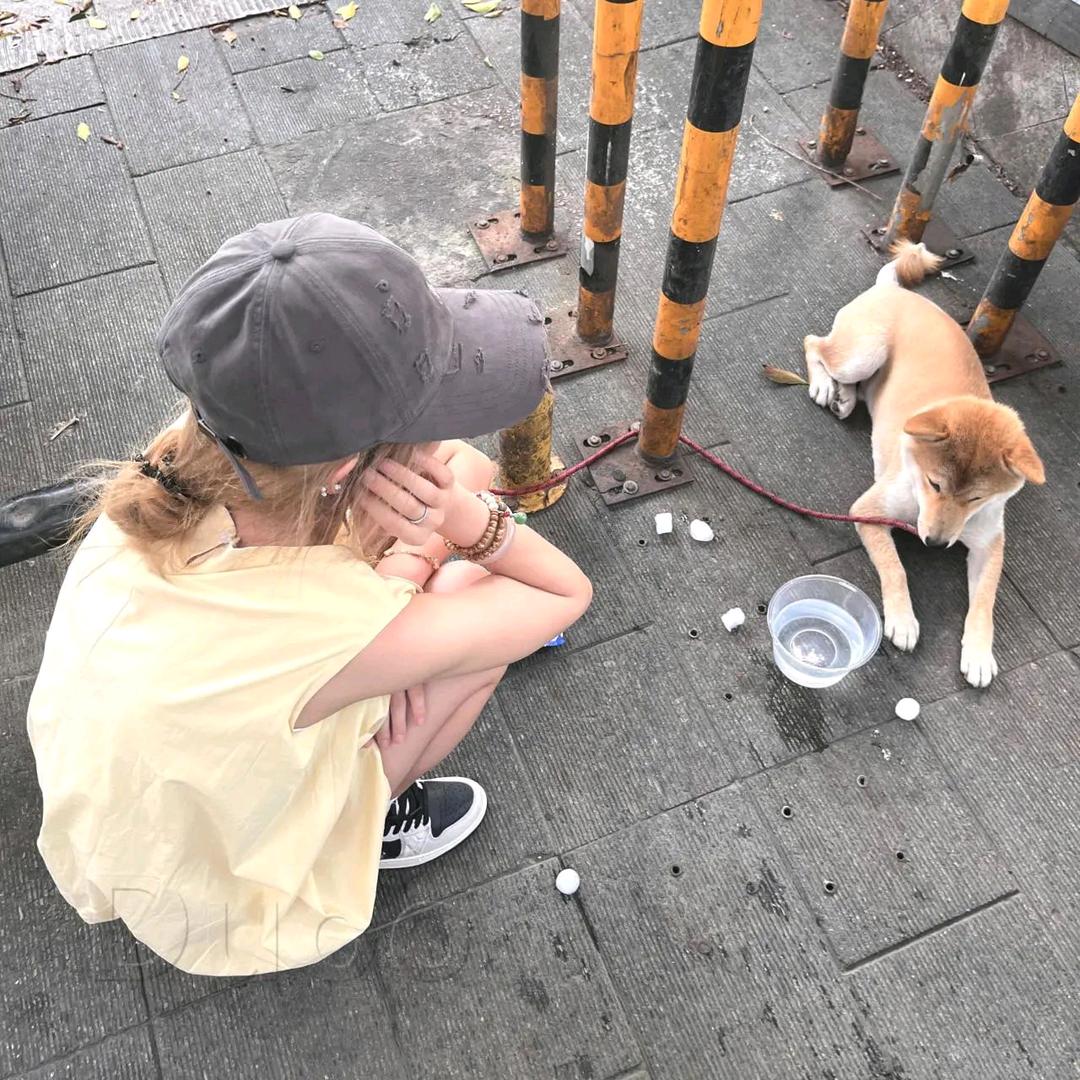 王星星的潇庭陶瓷好货店
