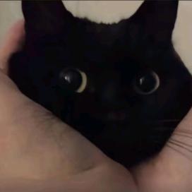 （｡ò ∀ ó｡）