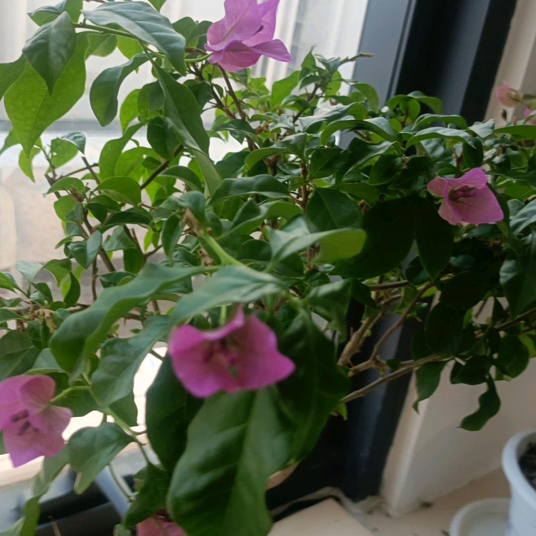 带你一起去看海