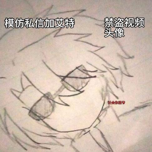 社会你黑爷.✨(爱07✨羊)