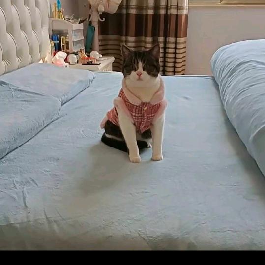 奋斗