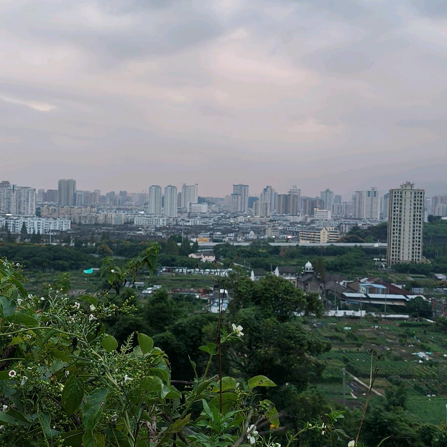 禅房听雨声