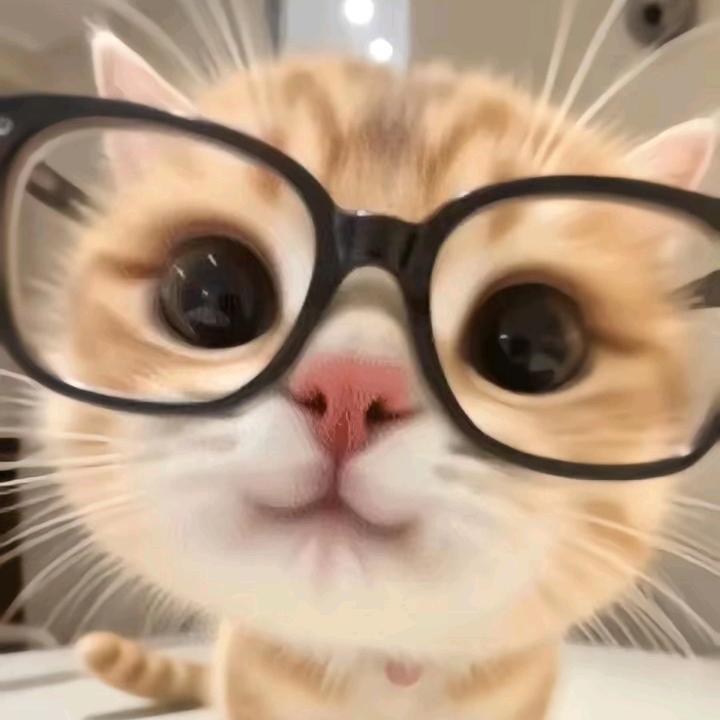 玉姐唱