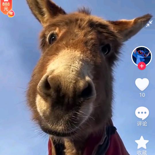 搓衣板上俩图钉