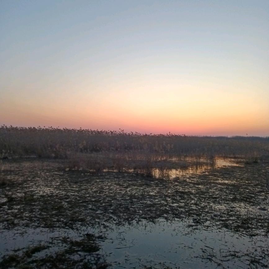 一生一世只爱一个人