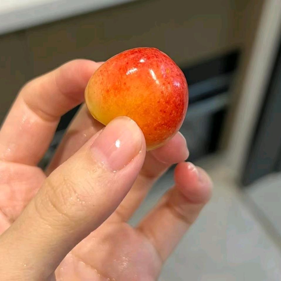Vv薇薇