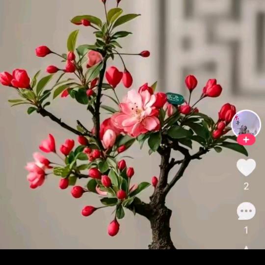 开心快乐