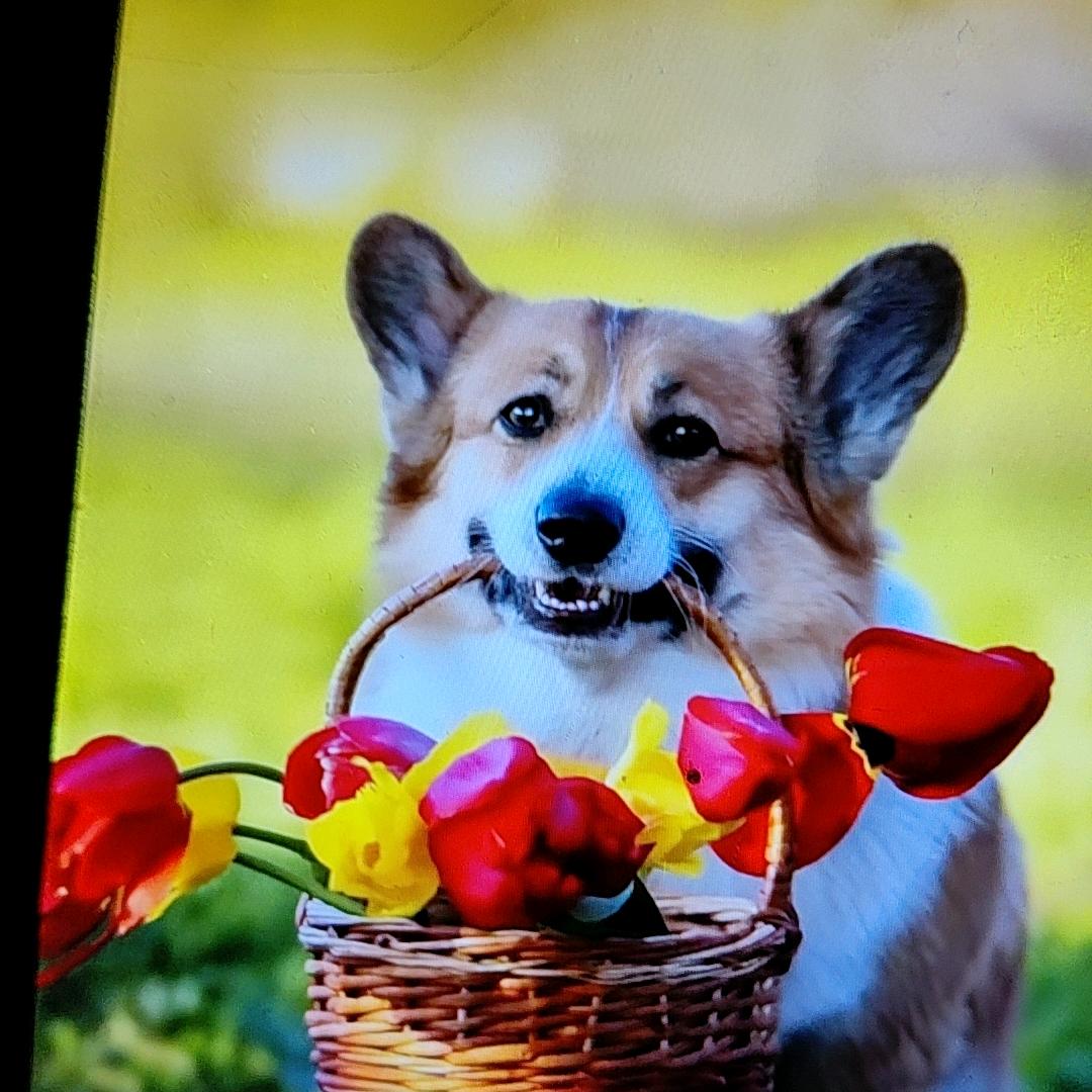 🐉余生爱你{812}