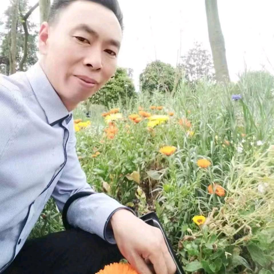 💝杨三哥💝