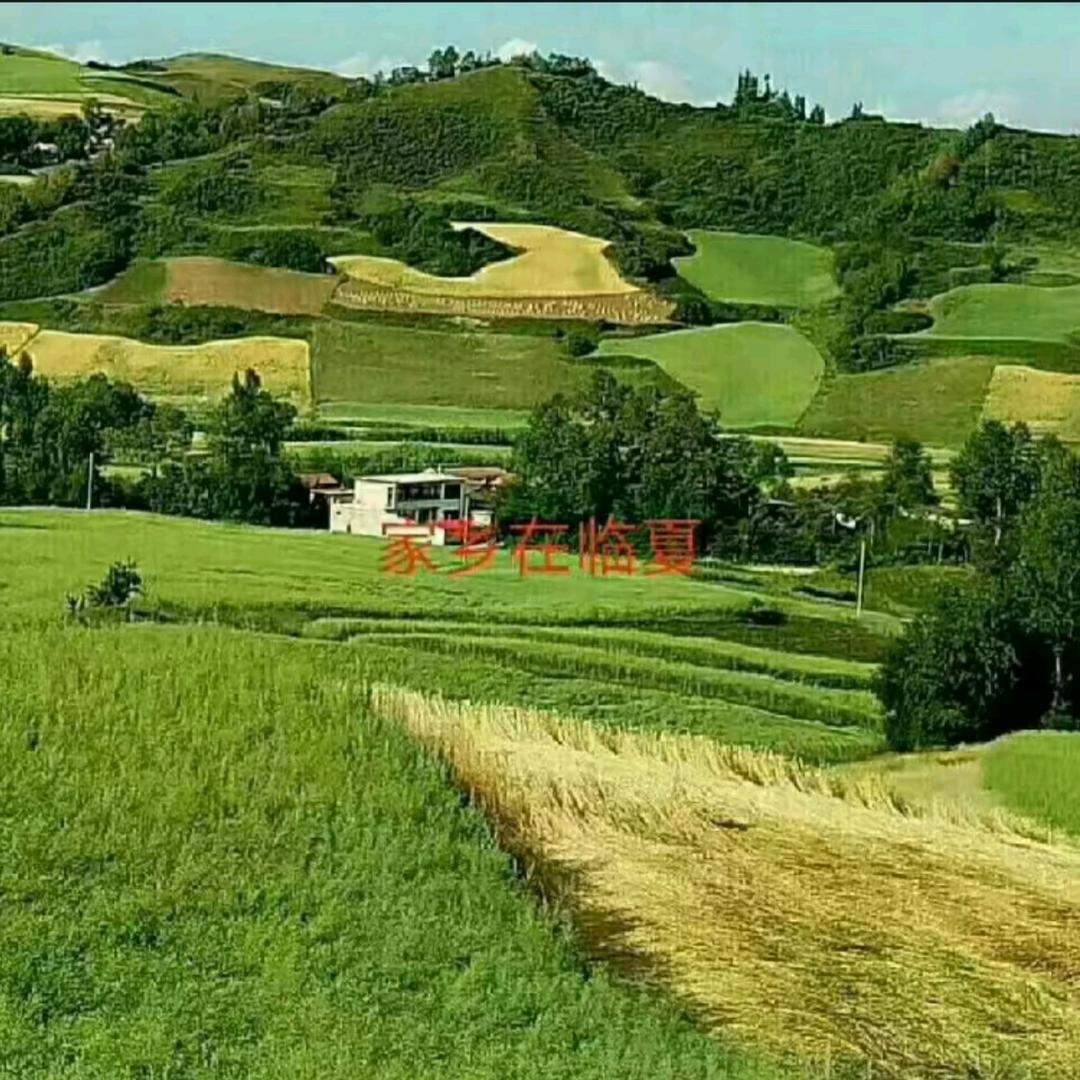 马东拉