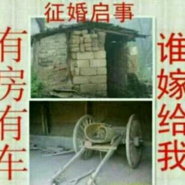 坚持到底  。。。。。。