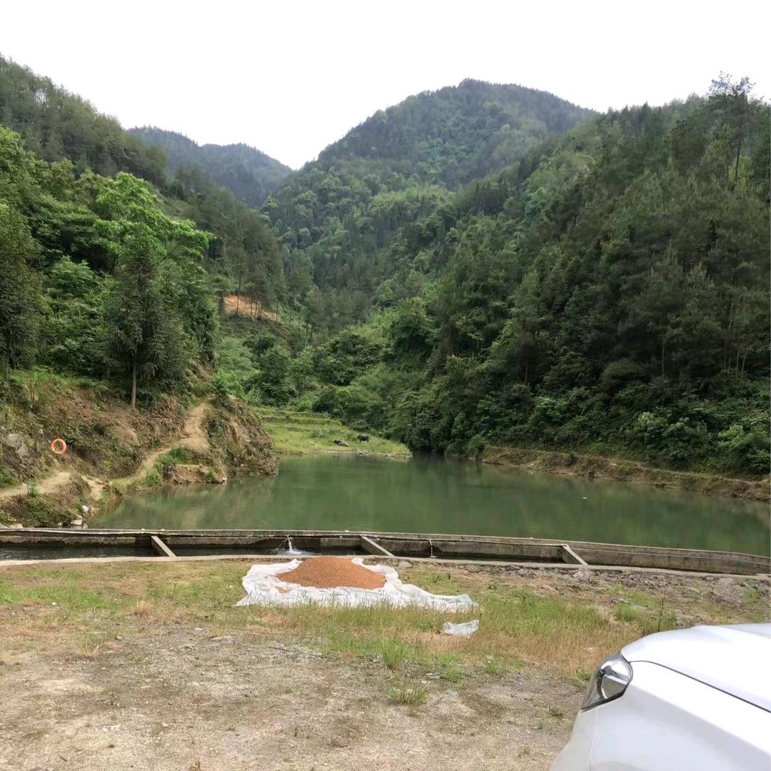 阜外打野哥