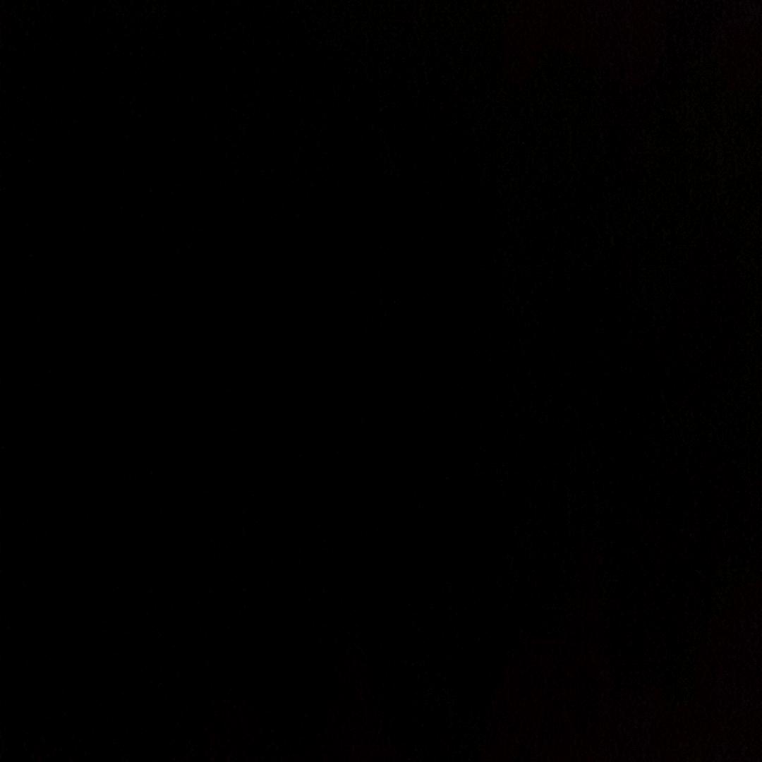 团宠