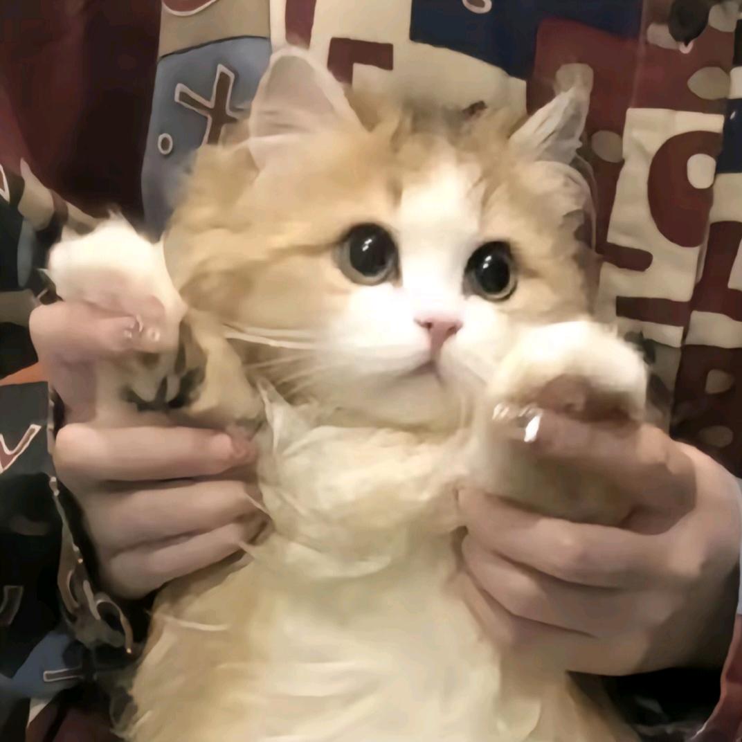 泥潭子.