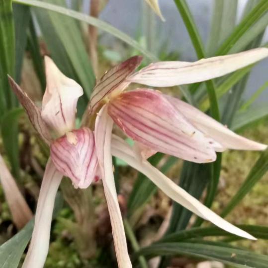 最幸福的有钱人