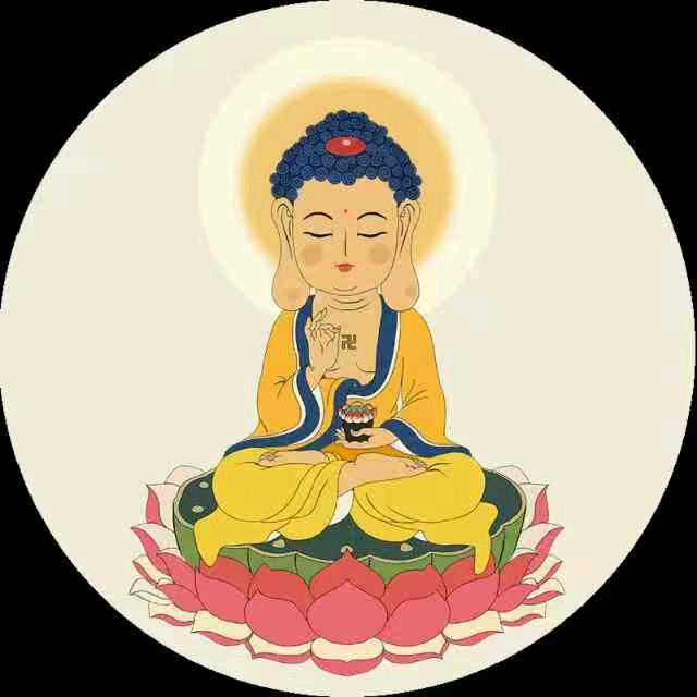 阳阳阳╲　　　　  🪳