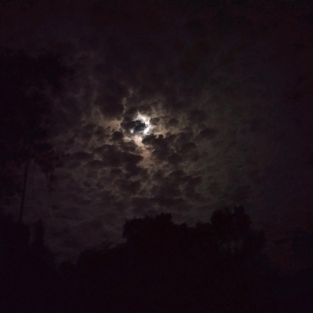 ԅ(¯ㅂ¯ԅ)思钱(ಡωಡ) 想厚