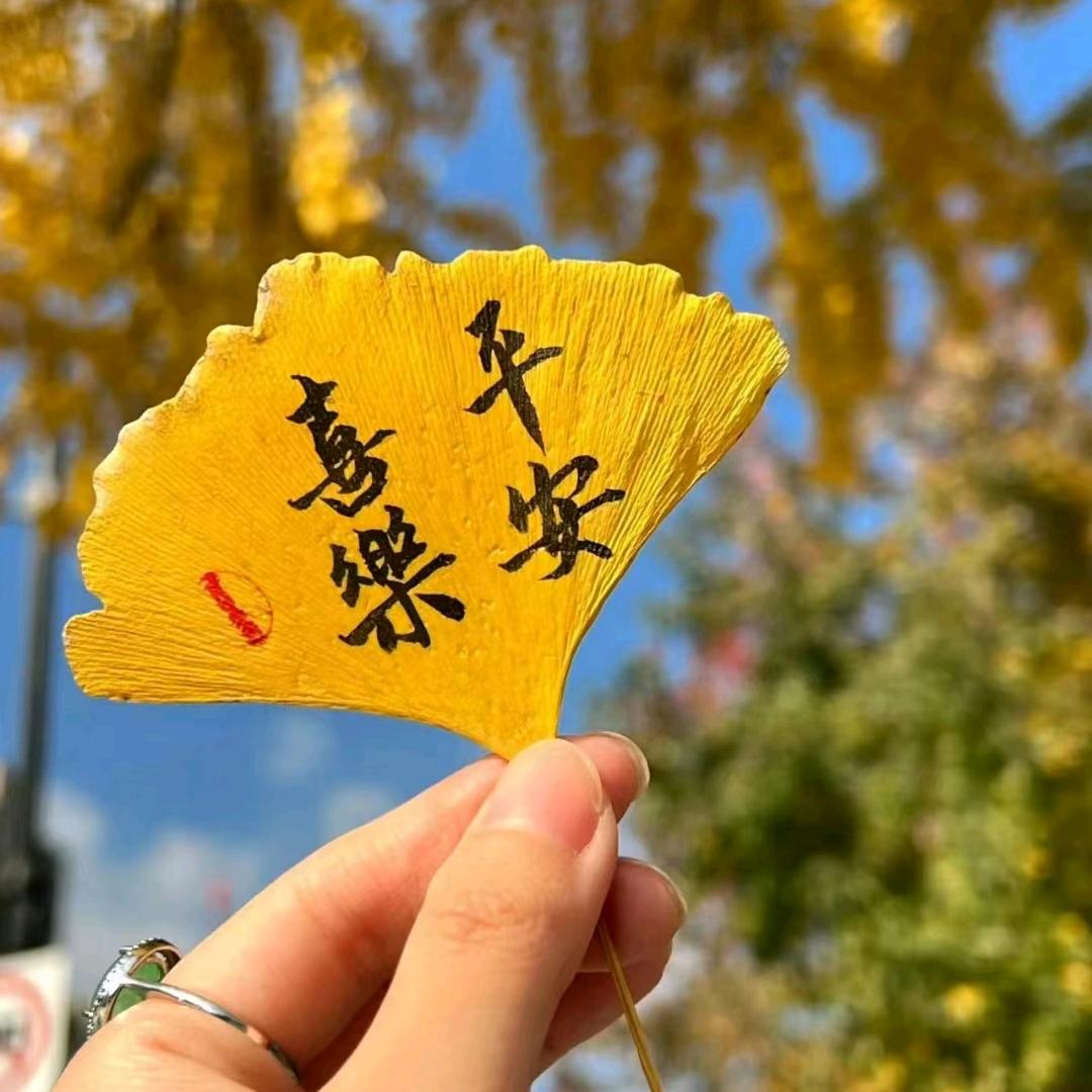 梅花香自苦寒来