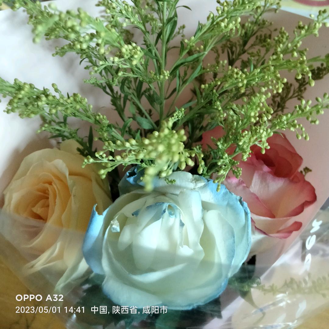 梅花