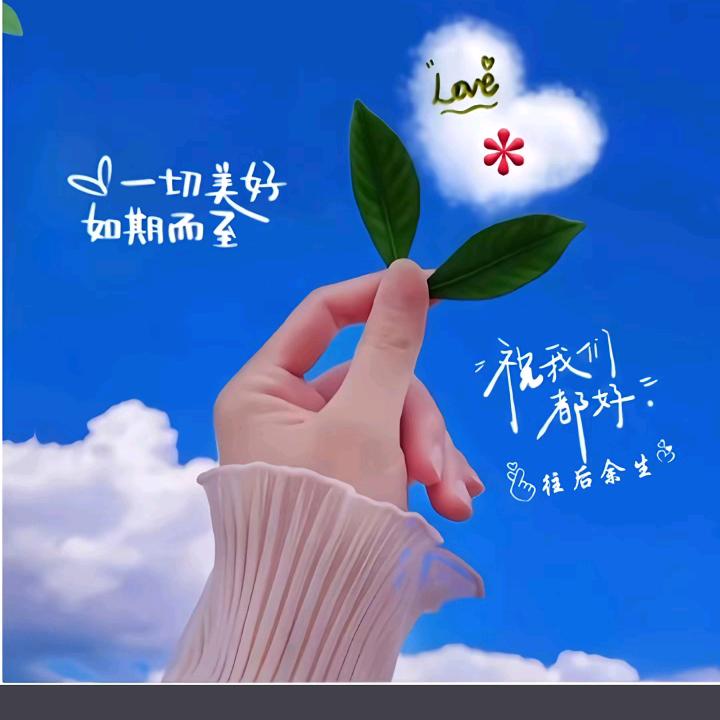 ❤️小猪猪🐷❤️