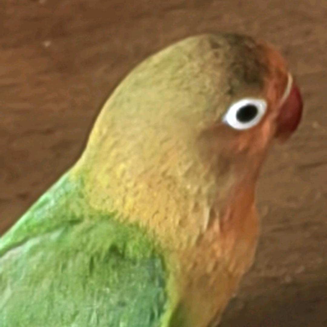 清零
