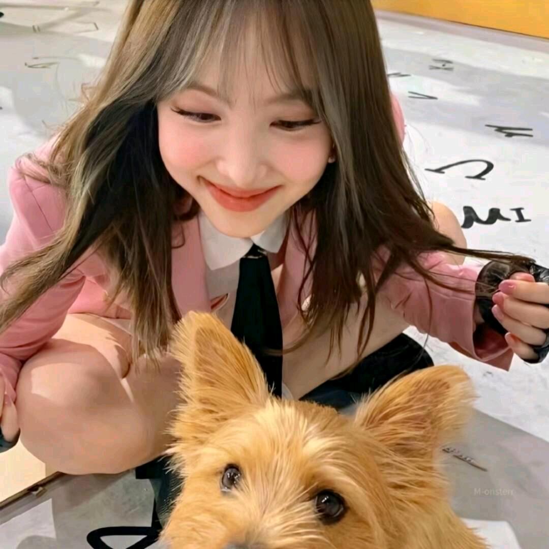 甜甜大王