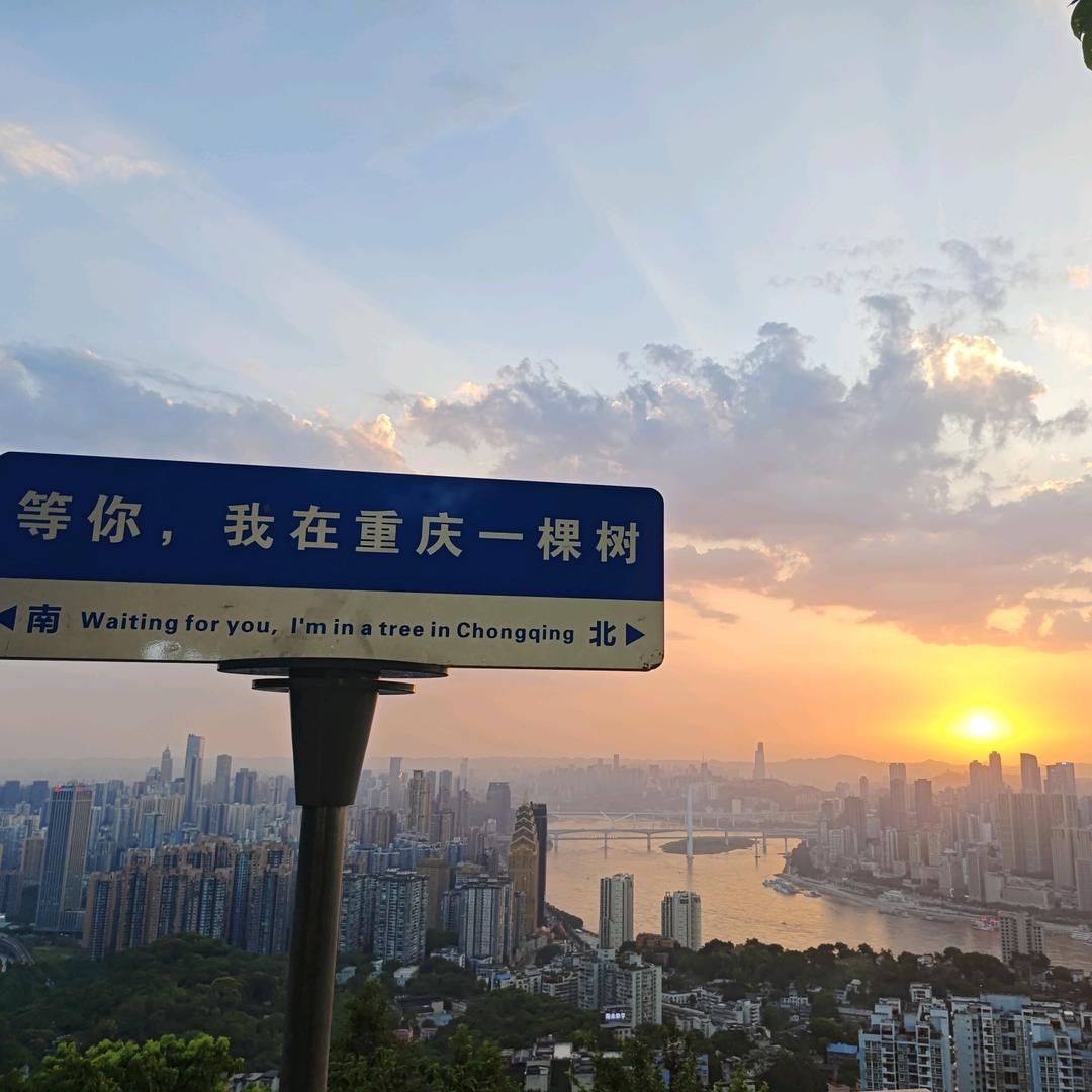 爱吃祁红三剑客的蓝袍头像