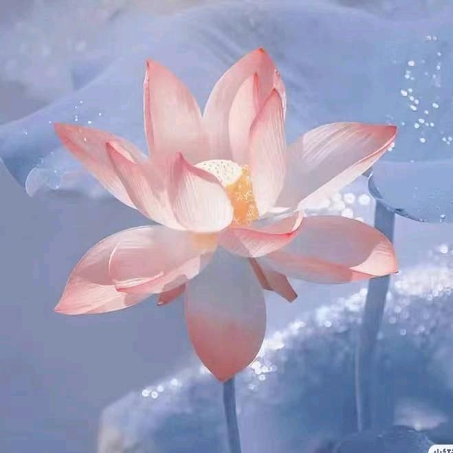 杨三岁❤️