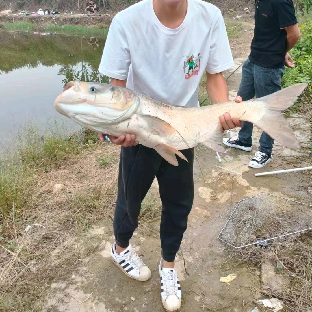 一个爱喂鱼的人