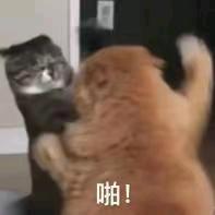 和糯米杨一起学习