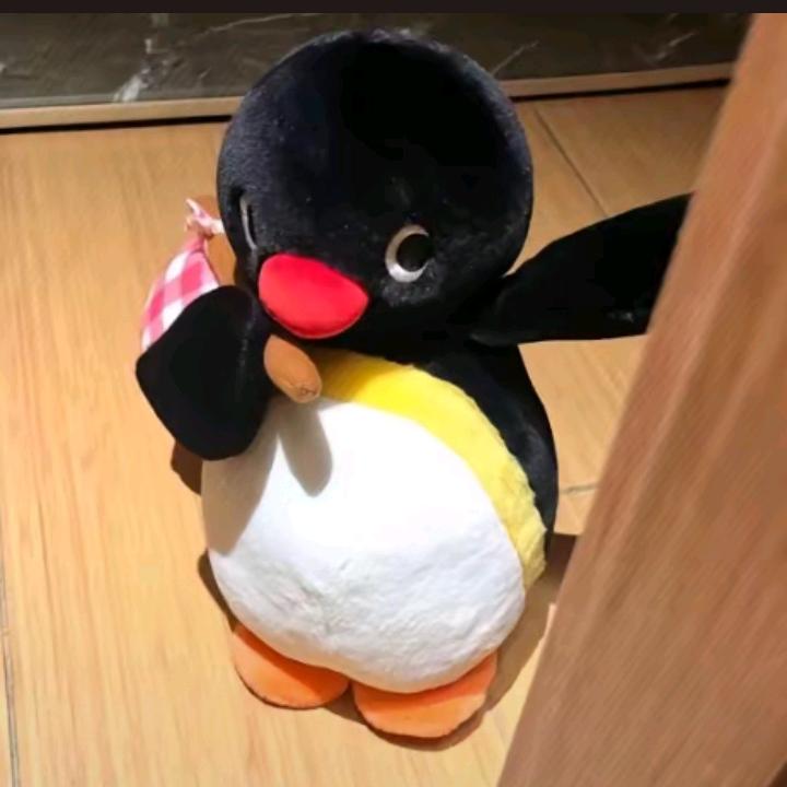 小企鹅🐧