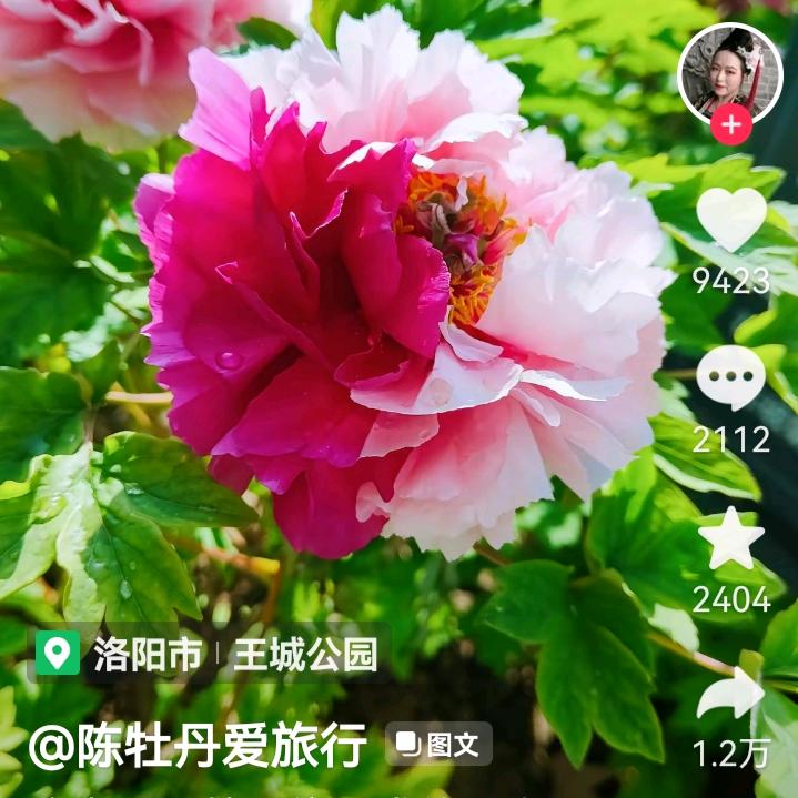 碧海兰天！