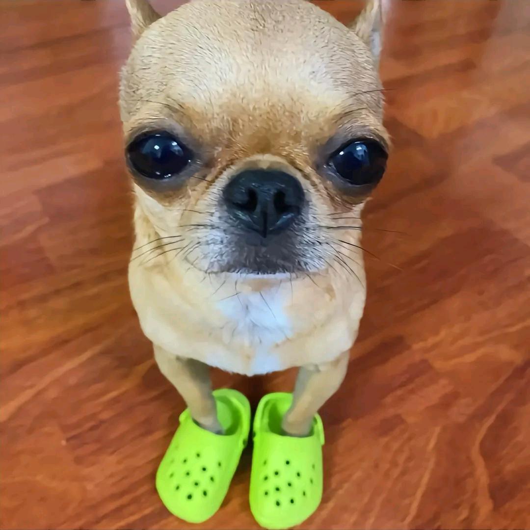 超级冷