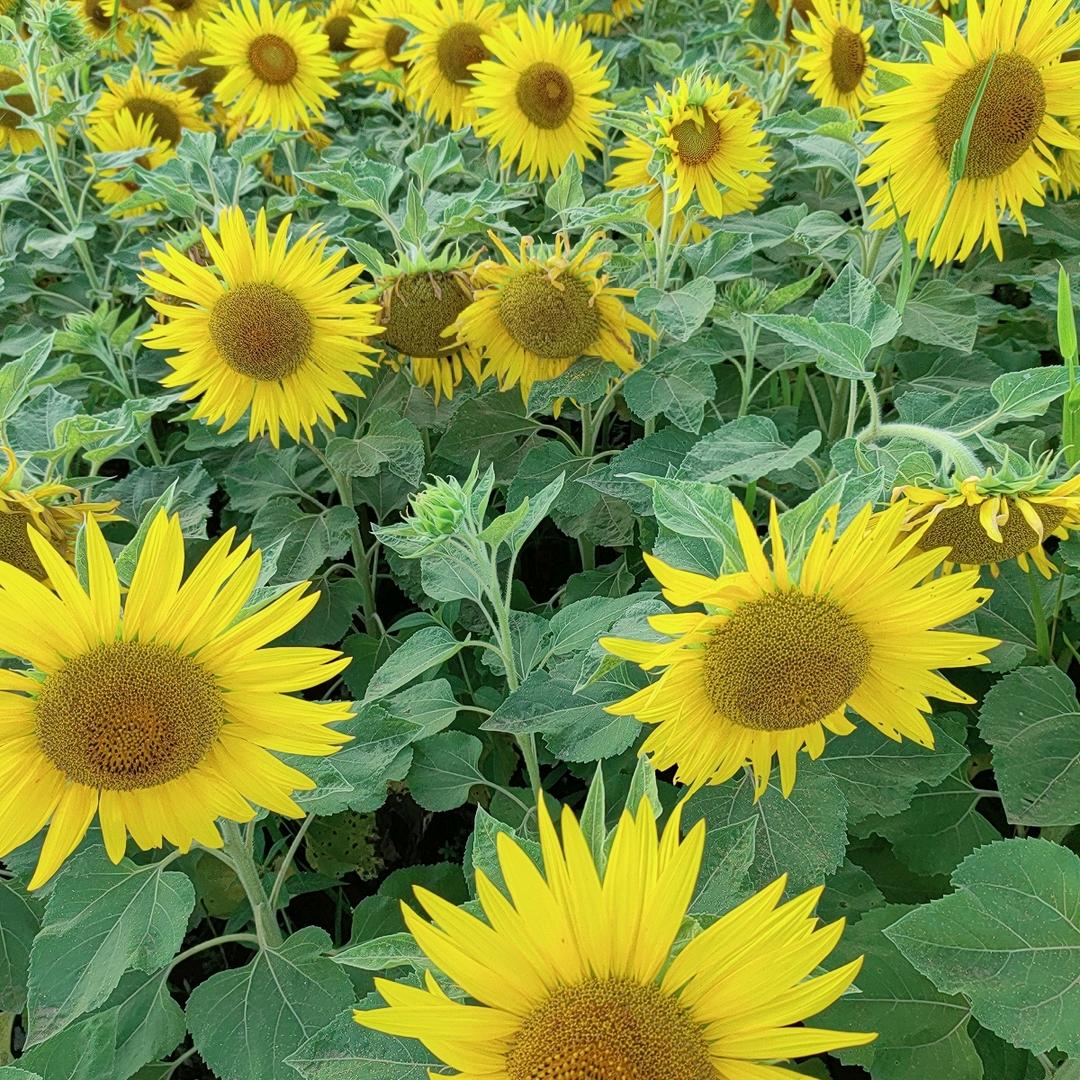 环环用户77553500