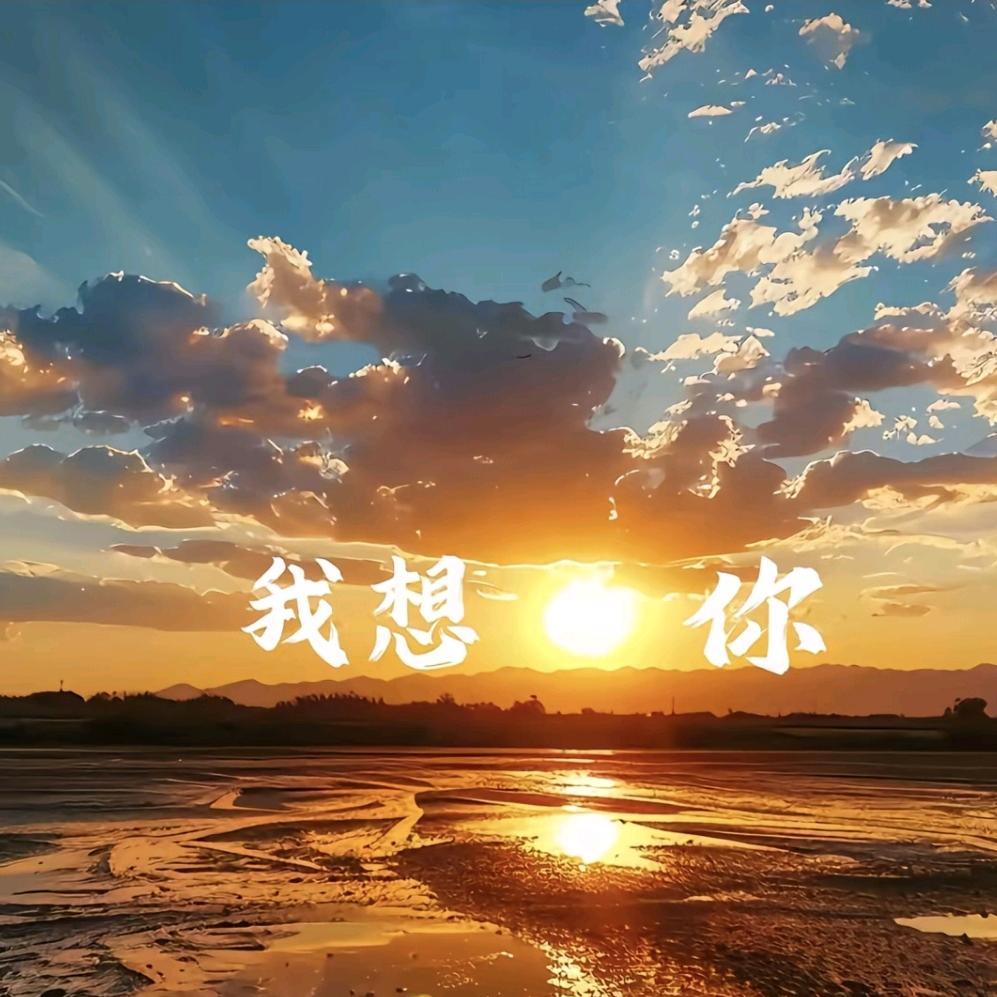 趴着的猫（春熙路）