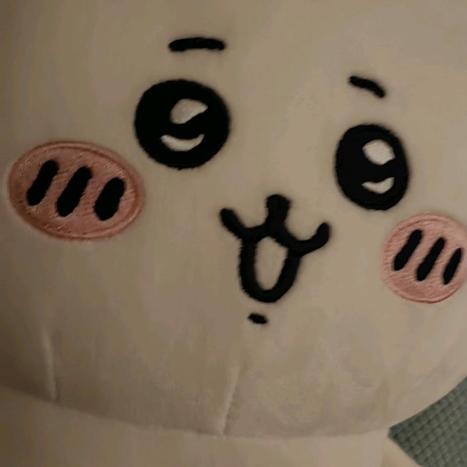 因光而遇