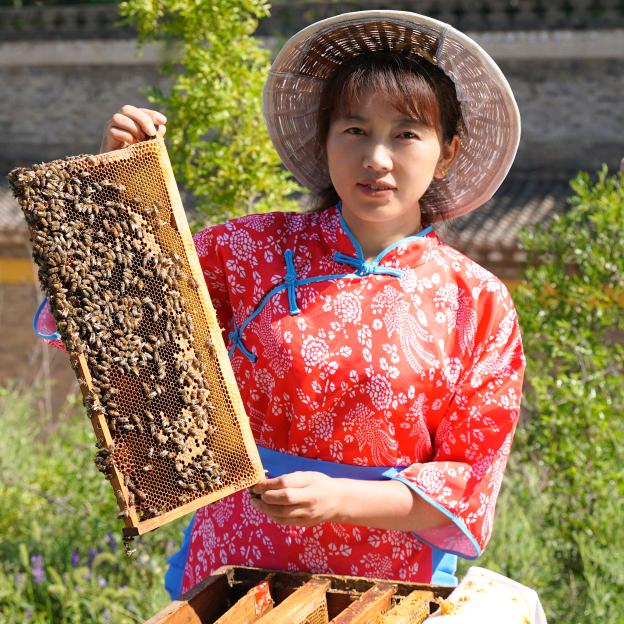 蜜丫头